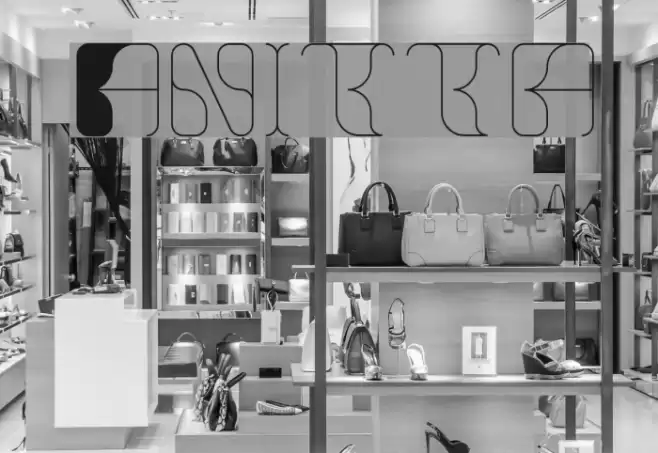 Anitta Font examples