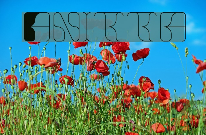 Anitta Font examples