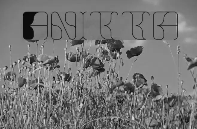 Anitta Font examples