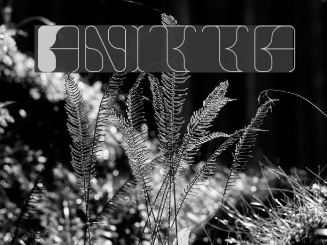 Anitta Font examples