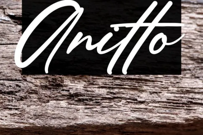 Anitto Example 2