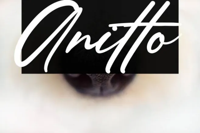 Anitto Example 3