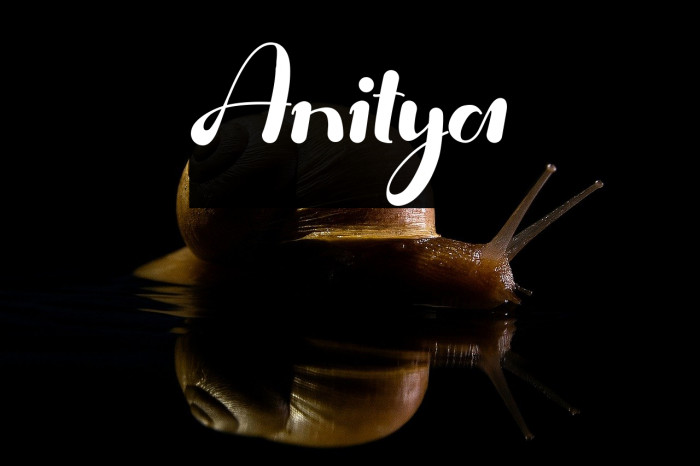 Anitya Example 2