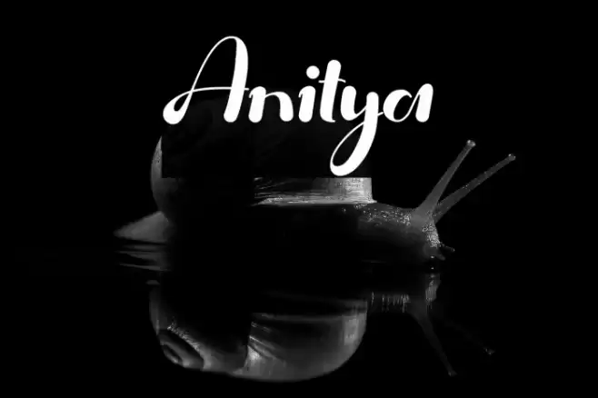 Anitya Font examples