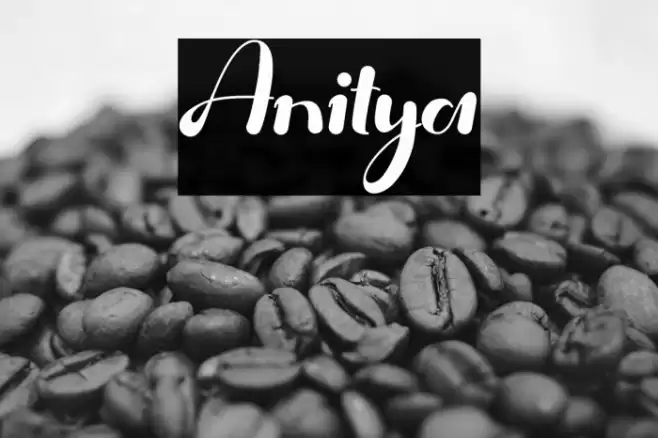 Anitya Font examples