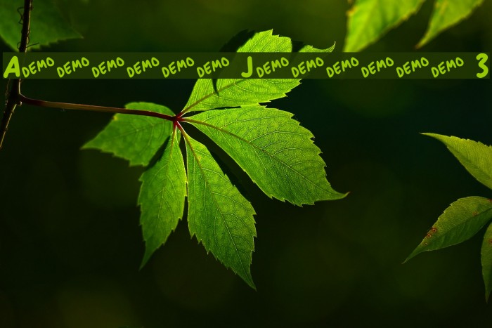 Anitype Journal 3 Font examples
