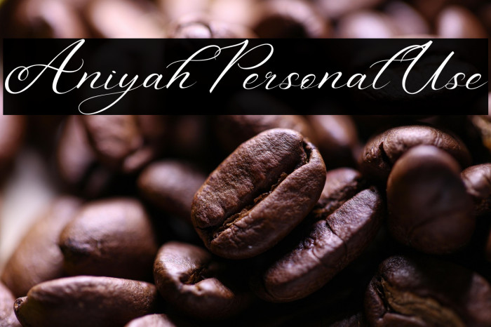 Aniyah Personal Use Example 1