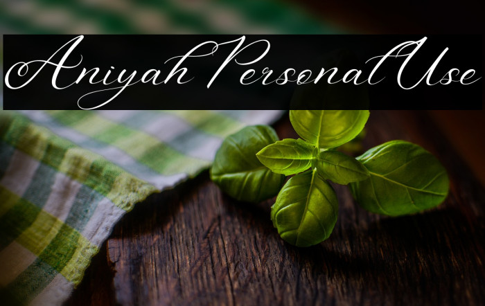 Aniyah Personal Use Example 2