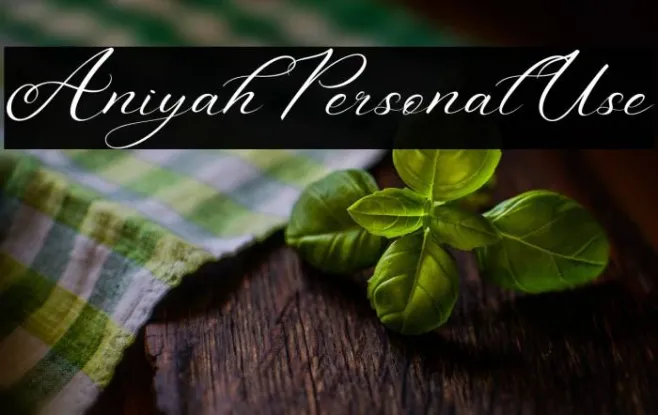 Aniyah Personal Use Example 2