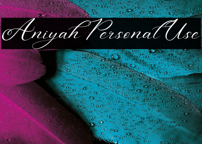 Aniyah Personal Use Example 3