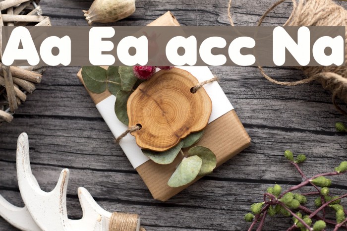 Anja Eliane accent Nornal Font examples
