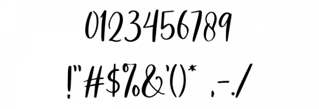 AnjaniScriptDEMO Font OTHER CHARS