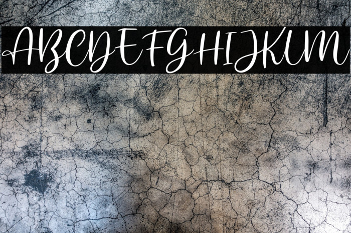 AnjaniScriptDEMO Example 1