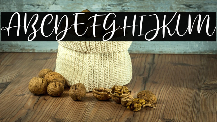 AnjaniScriptDEMO Example 2