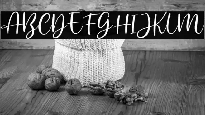 AnjaniScriptDEMO Font examples