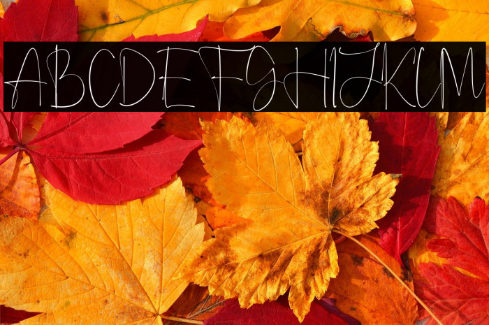 Anjany Sallentiny Example 1