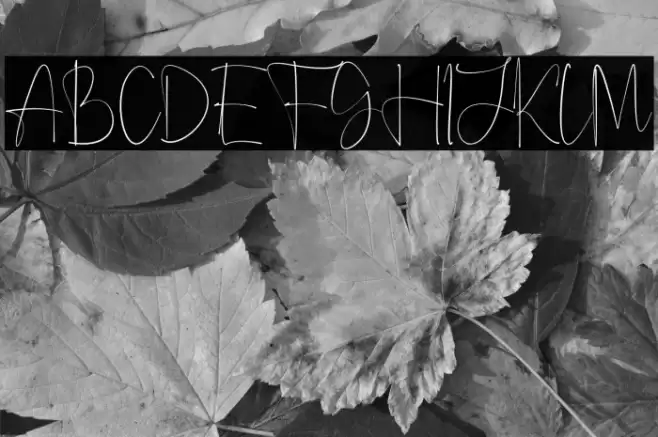 Anjany Sallentiny Font examples