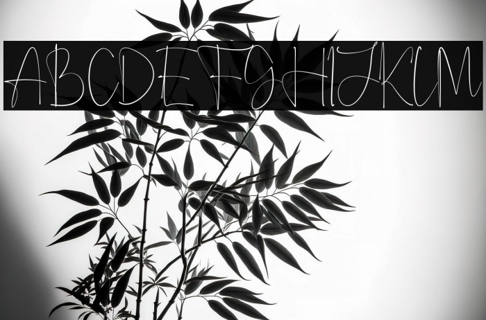 Anjany Sallentiny Example 2