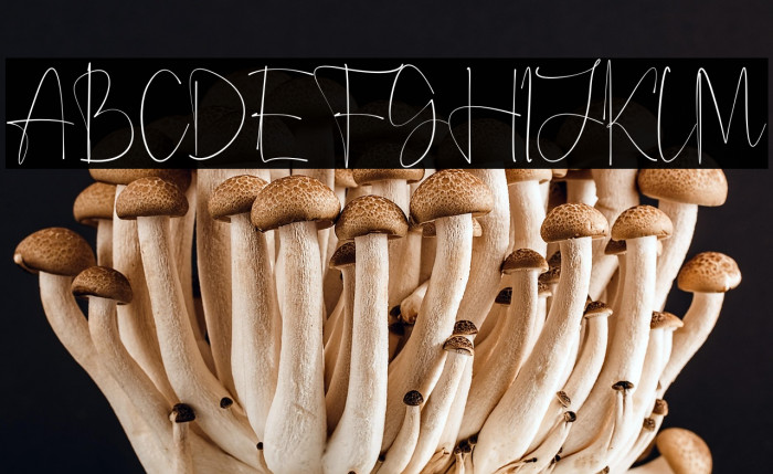 Anjany Sallentiny Example 3