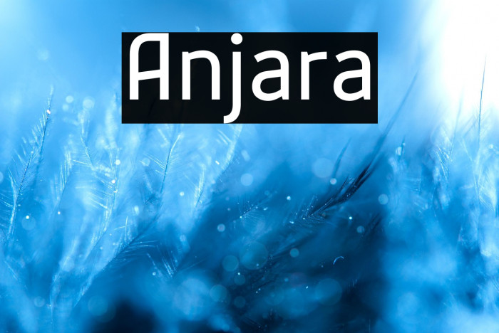 Anjara Example 2