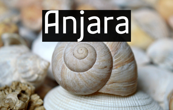 Anjara Example 3
