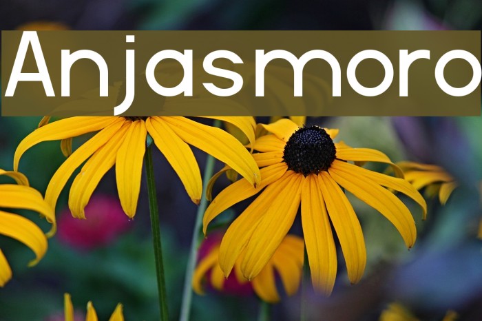 Anjasmoro Font examples