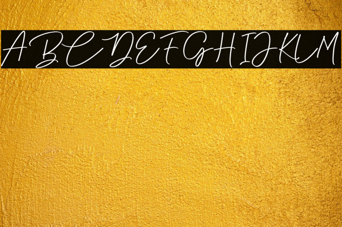 Anjel Script Example 2