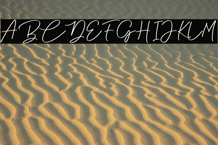 Anjel Script Example 3