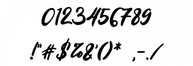 Anjelica Script Font OTHER CHARS