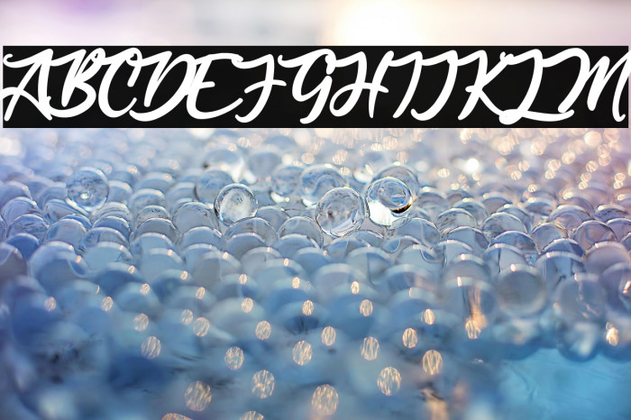 Anjelica Script Example 1