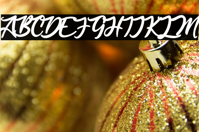 Anjelica Script Example 2