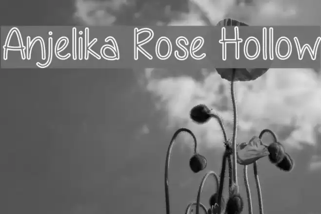 Anjelika Rose Hollow Font examples
