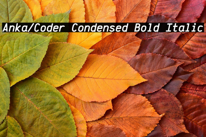 Anka/Coder Condensed Bold Italic Example 1
