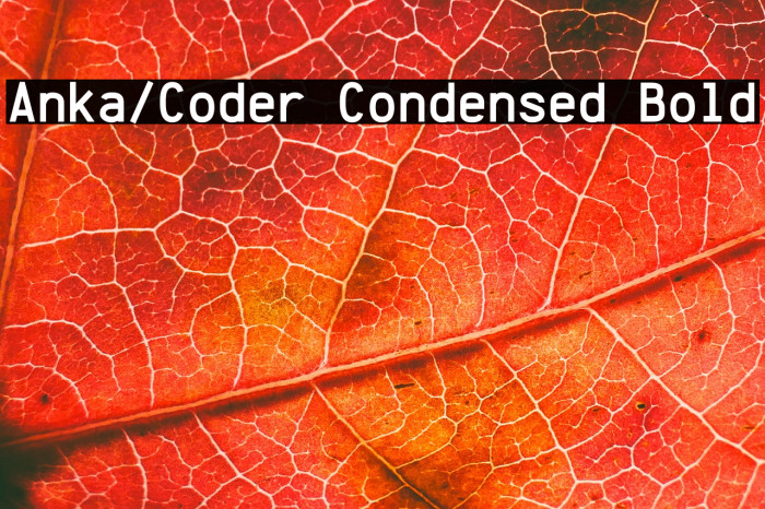 Anka/Coder Condensed Bold Example 3