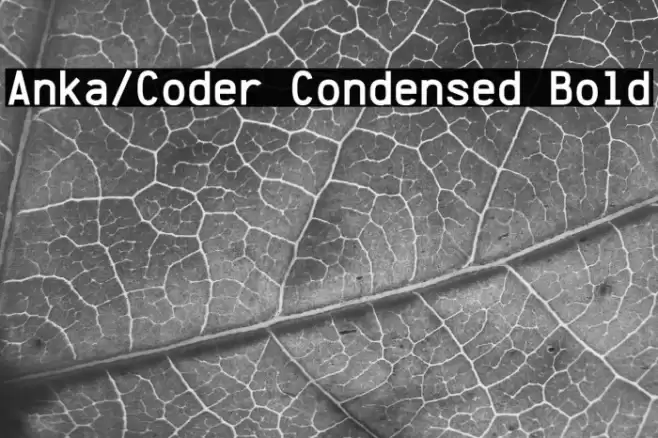 Anka/Coder Condensed Bold Caratteri examples