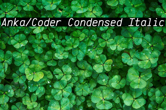 Anka/Coder Condensed Italic Example 1