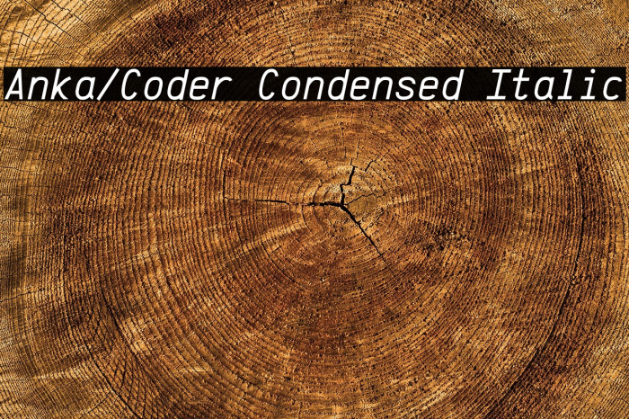 Anka/Coder Condensed Italic Example 3