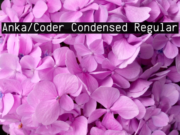 Anka/Coder Condensed Regular Example 3