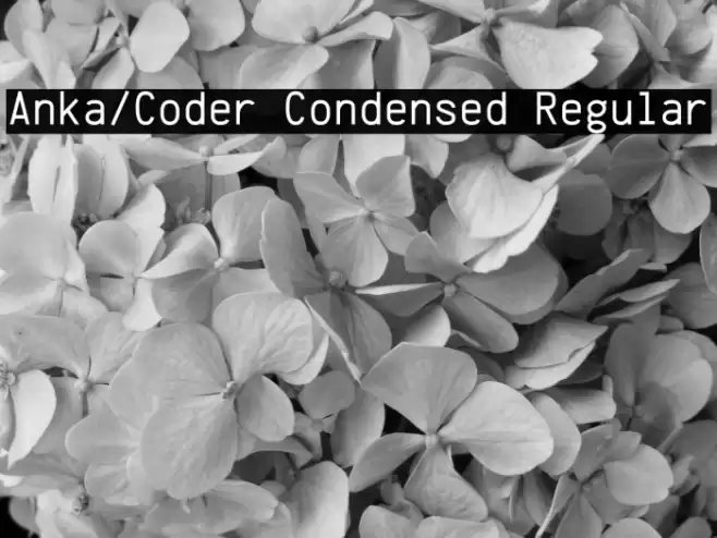 Anka/Coder Condensed Regular Font examples