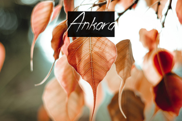 Ankara Example 1