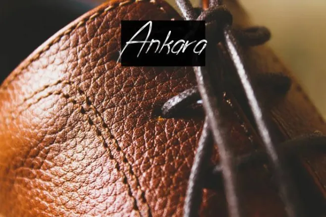 Ankara Example 2