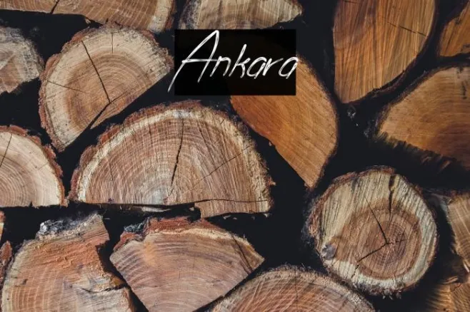 Ankara Example 3