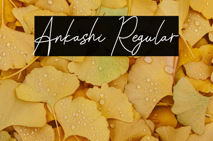 Ankashi Regular Example 2