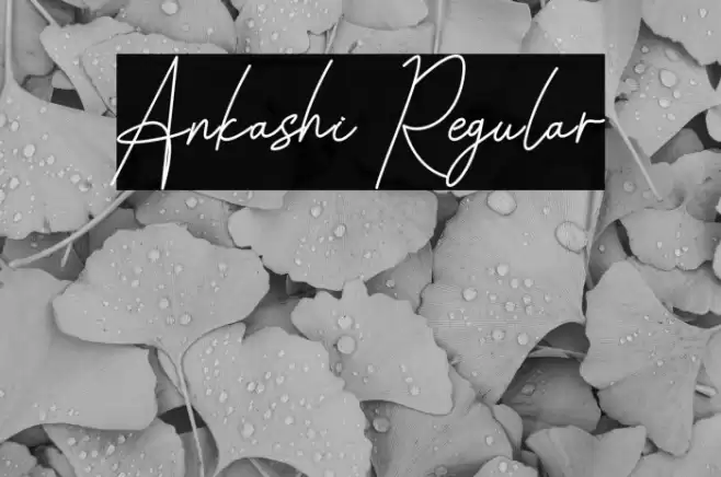 Ankashi Regular Шрифта examples