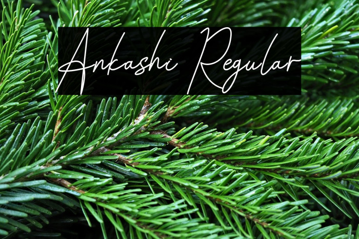 Ankashi Regular Example 3