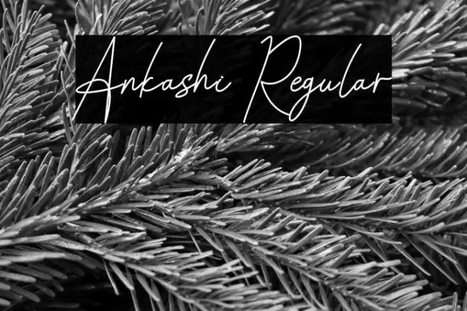 Ankashi Regular Шрифта examples