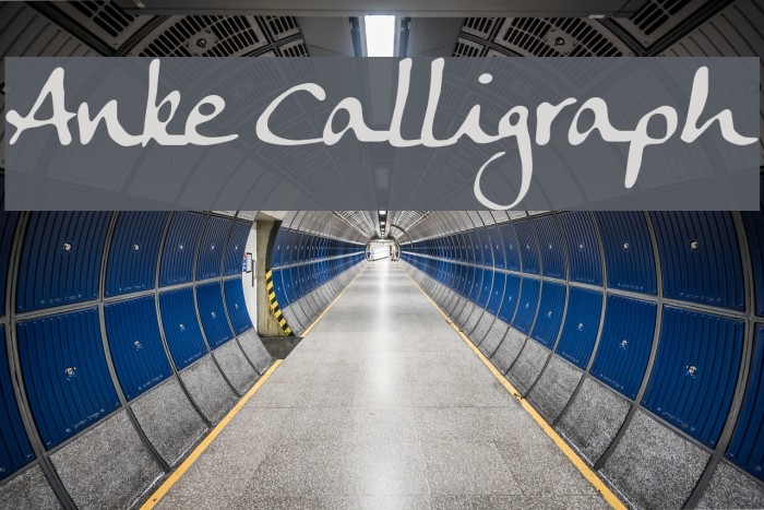 Anke Calligraph Font examples