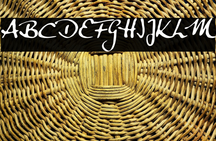 Anke Calligraphic FG Example 2