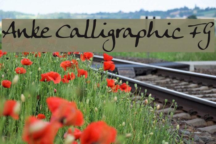 Anke Calligraphic FG フォント examples