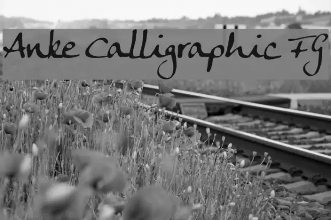 Anke Calligraphic FG Font examples